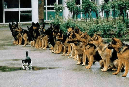 florencerickards-mindset