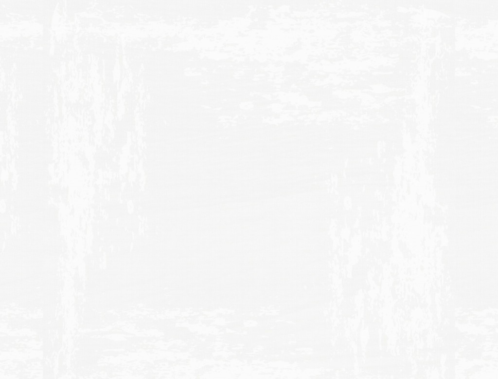 white-gray-backgroundr | Florence R. Rickards